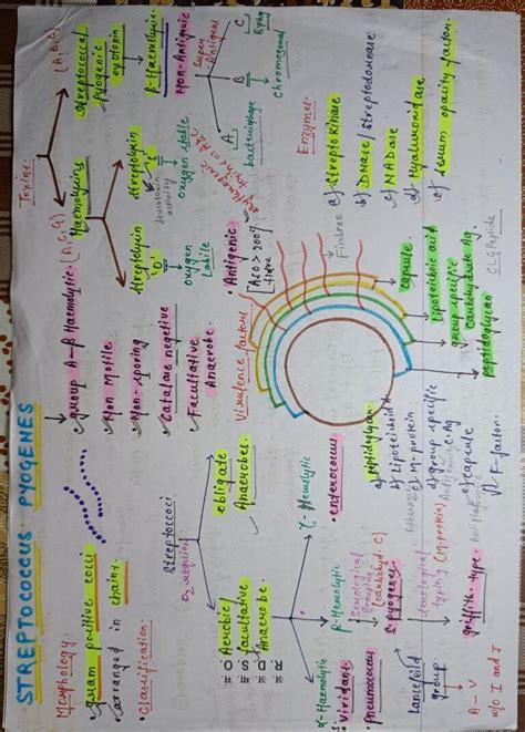 Streptococcus Pyogenes Microbiology Notes Pdf Shop Handwritten Notes