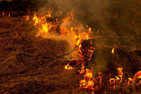 Um forte incêndio se espalha em rajadas de vento através da grama seca