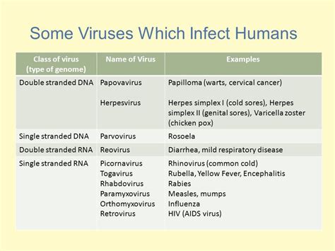 √無料でダウンロード！ Double Stranded Rna Virus Examples 284764 Double Stranded Dna Virus Definition