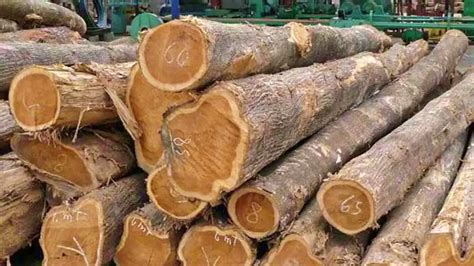 Whats The Difference Between Teak Grade A B And C Identifying The