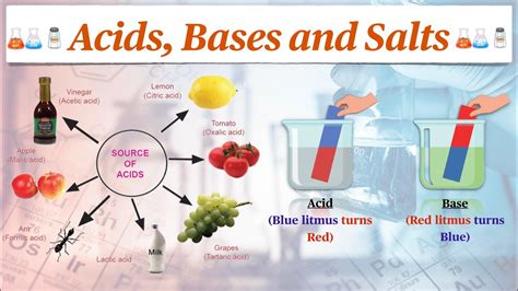 Acids Bases And Salts अम्ल क्षारक और लवण Ph In Everyday Life