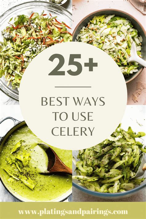 25+ BEST Celery Recipes (How to Use Celery)