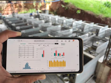 Gestão de fazenda leiteira como melhorar indicadores e resultados