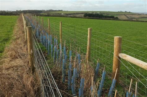 Fences Near Rollright Stones Derek Harper Geograph Britain And Ireland