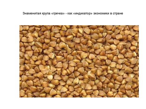 Гречиха - презентация онлайн