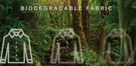 The Evolution Of Fabrics Unveiling The Wonders Of Biodegradable