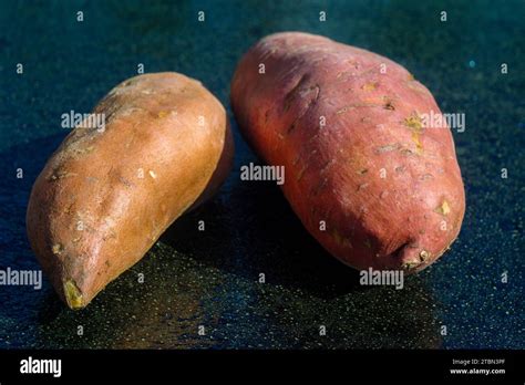 Sweet Potato Or Batat Close Up Photo Stock Photo Alamy