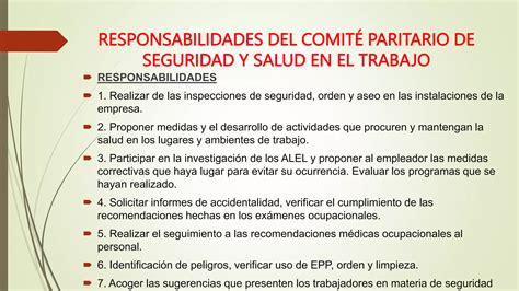 Roles Y Responsabilidades Sg Sstpptx