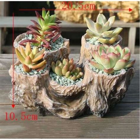 WE24347 Pot de fleur en résine succulente en bois en forme de racine