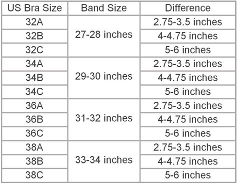 Us Bra Sizes