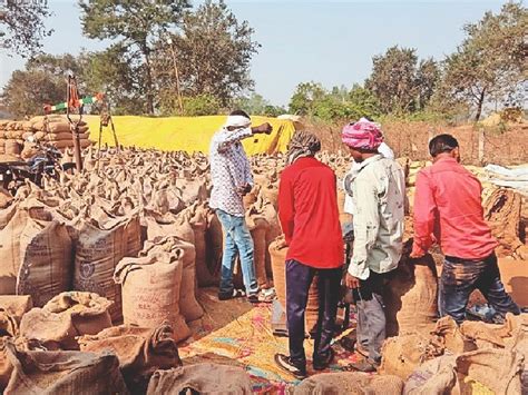 चार हजार किसानों से आज होगी धान खरीदी एक करोड़ क्विंटल की रिकॉर्ड