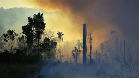 Incêndios na Amazônia custaram R 1 bilhão ao sistema de saúde apontam