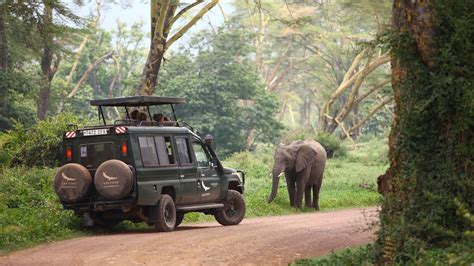 Game Drive in the Ngorongoro Crater | Experiences | andBeyond