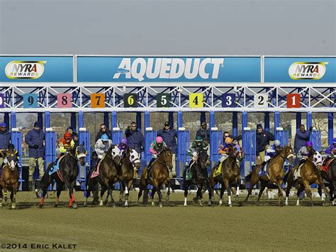 Racing Forward The Evolution Of Aqueducts Results And The Future Of Horse Racing
