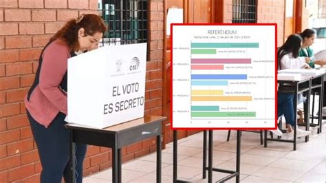 Resultados De La Consulta Popular En Ecuador ¿ganó El Si O El No La Silla Rota