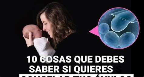 10 cosas que debes saber si quieres congelar tus óvulos NNAV VR