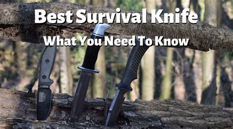 Best Survival Knife, What You Need to Know - Tracker Survival