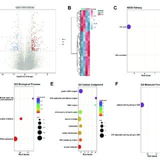 Results Of Differential Expression Analysis And Functional Enrichment