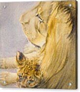 Lion and Cub Painting by Bonnie Rinier | Fine Art America