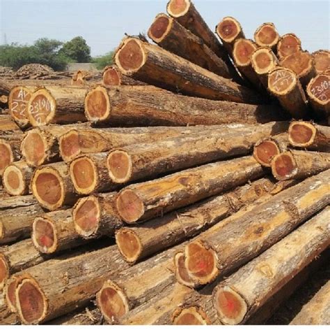 Brown Round Teak Wood Logs At Rs Square Feet In Varanasi Id