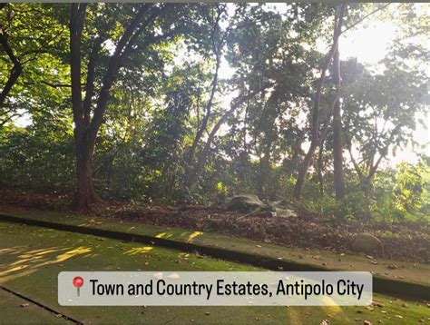 Lot For Sale In Town And Country Estates Antipolo City Property For