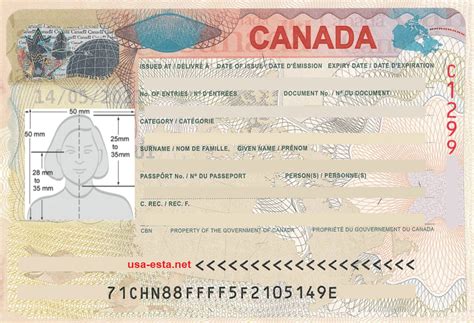 Requisitos Foto Visa Canadá Tamaño De La Foto Y Especificaciones