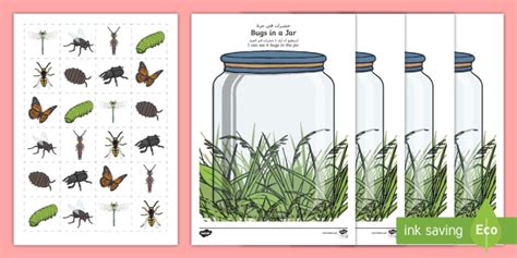 Bugs In A Jar To Counting Worksheet Arabic English