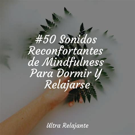 Sonidos Reconfortantes De Mindfulness Para Dormir Y Relajarse