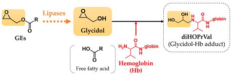 Toxics Free Full Text Potential Role Of Lipase Activity On The