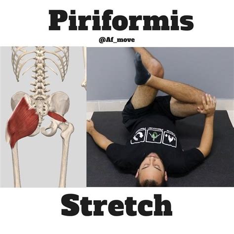 Piriformis Stretch Sciatica Exercises Lmt Back Pain Stretching