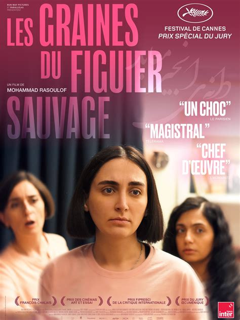 Cin Mas Et S Ances Du Film Les Graines Du Figuier Sauvage Saint Renan