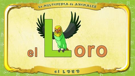 C Mo Se Escribe Loro En Imprenta May Scula Loros Y Guacamayos