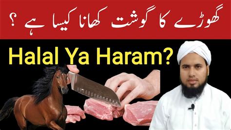 Ghode Ka Gosht Halal Hai Ya Haram Ghode Ka Gosht Khana Kaisa Hai