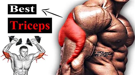 Best Tricep Exercises Tricep Workout Gym To Build Big Triceps Triceps Workout Youtube