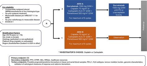 Protocol Of Dream3r Durvalumab With Chemotherapy As First Line