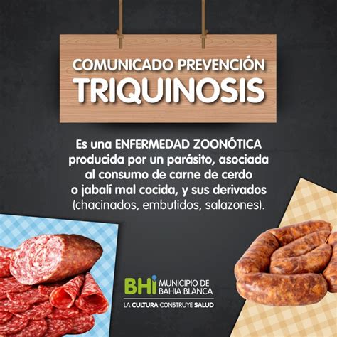 Triquinosis Medidas De Prevenci N Prensa Bah A