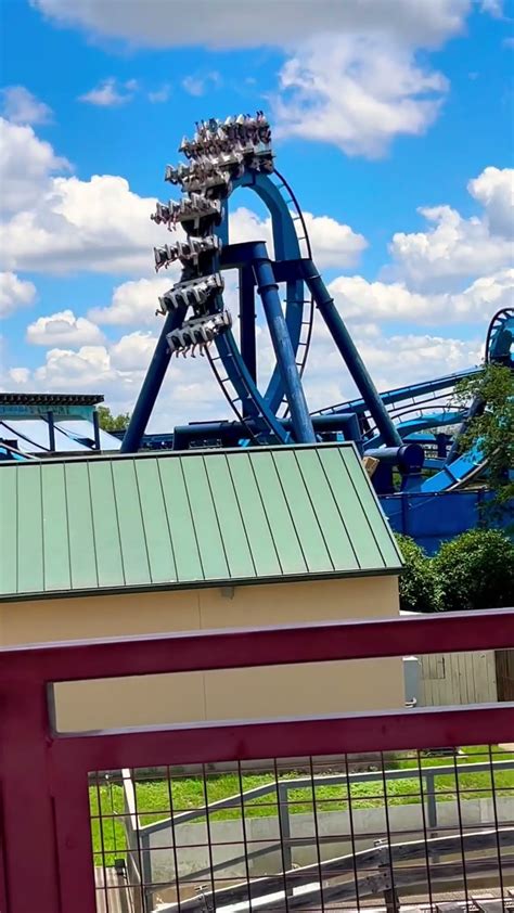 The Great White At Seaworld San Antonio Youtube