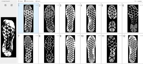 The Evolution And Application Of Shoeprint Evidence