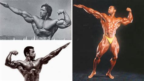 Share 146 Basic Bodybuilding Poses Best Nanoginkgobilobavn