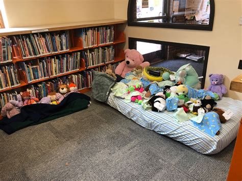 The Somerville Public Library Had A Stuffed Animal Sleepover And It