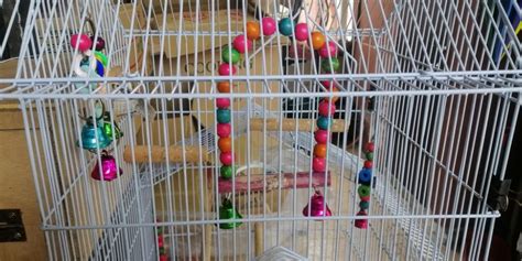 Sangkar Burung Bird Cage Pet Supplies Homes Other Pet Accessories