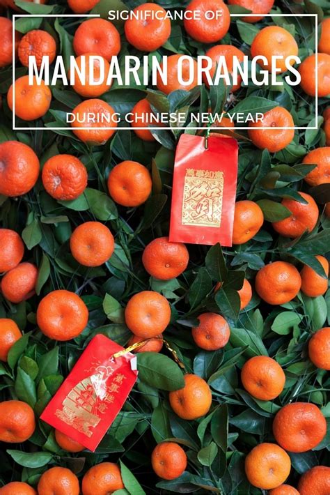 Why Mandarin Orange Or Kumquat Trees Chinese New Year