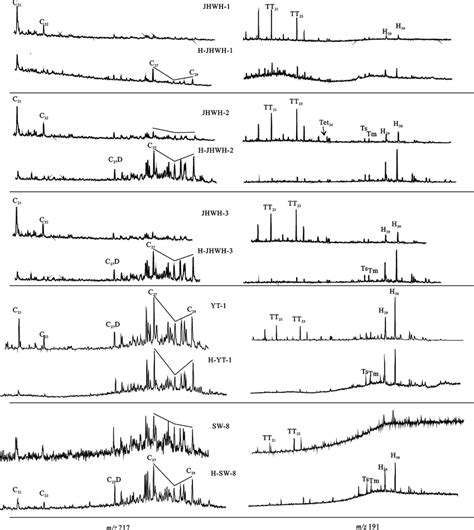 M Z 217 And M Z 191 Mass Chromatograms Of Saturated Hydrocarbons Of