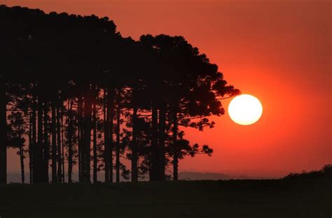 Paran Tem Alerta Para Onda De Calor Nesta Semana