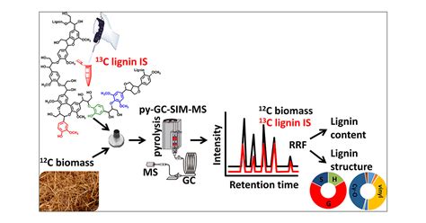 Quantification Of Lignin And Its Structural Features In Plant Biomass