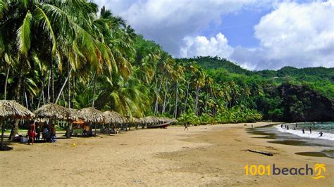 Пляж Медина Medina Beach