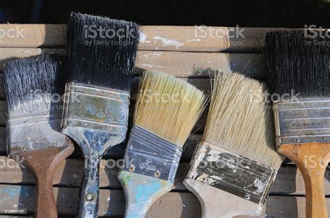 Assorted Paint Brushes Stock Photo Download Image Now Acrylic