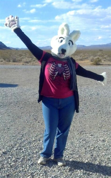 Better Picture Of The Angel Fursuit By Lunaookami102332 On Deviantart