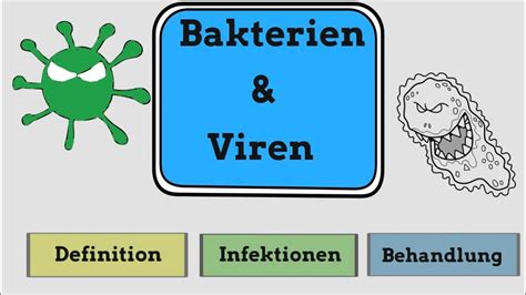 Bakterien Und Viren Einfach Erkl Rt Youtube