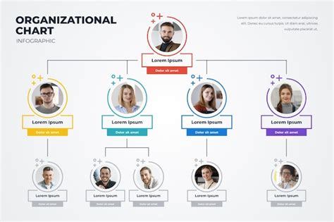 Im Genes De Infografia Organigrama Descarga Gratuita En Freepik 56700